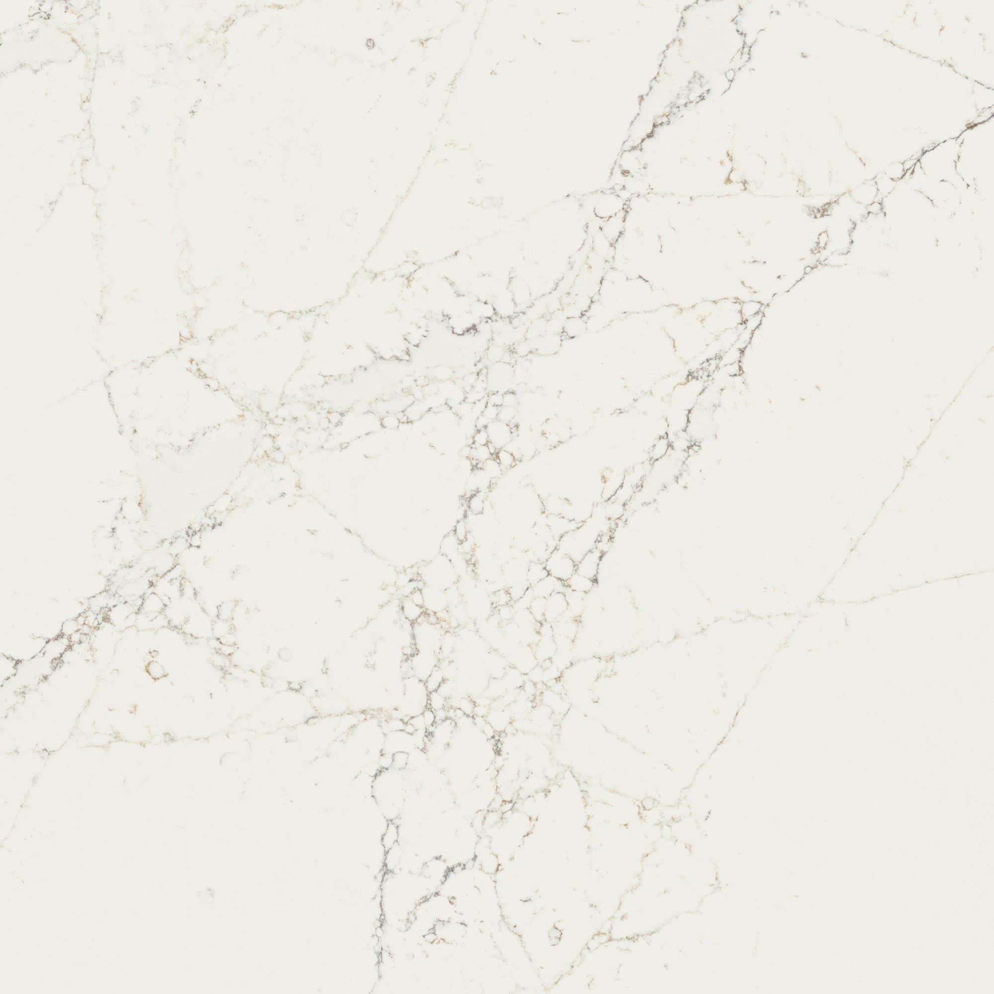 Calacatta Cathedral - iqr70jxvwxrxapl2dir6@2x.jpg