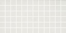 Cohesion White Rectangle 24X48 Polished - irwtc3sq0mtgdzf53wbf@2x.jpg