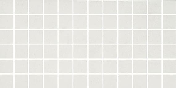 Cohesion White Rectangle 24X48 Polished - irwtc3sq0mtgdzf53wbf@2x.jpg