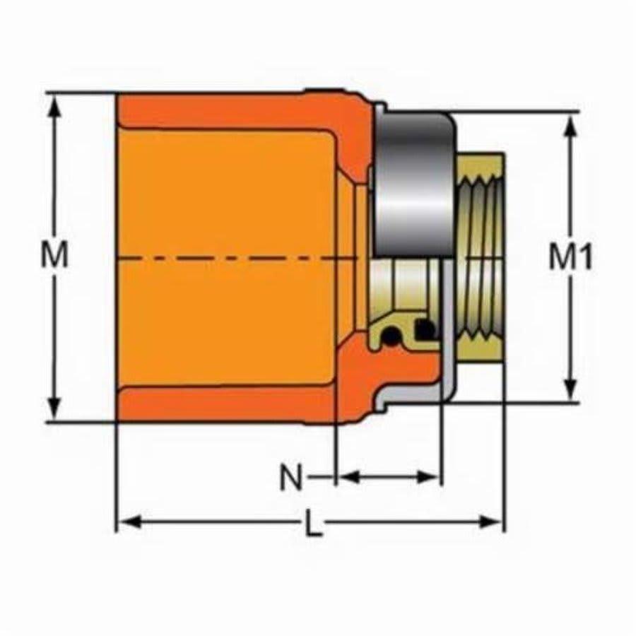 FlameGuard® TorqueSafe™ Adapter, 1 x 3/4 in, Socket x Brass FNPT, CPVC - isgynumpjy1xqm6sf3se@2x.jpg