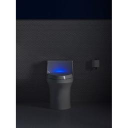 Purefresh Elongated Closed Front Toilet Seat with Purefresh Air Filtering, Night Light, and Quiet-Close Technology - isk6lolwzljstnack978_x500.jpg