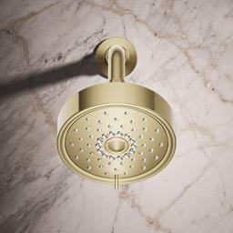 Purist 2.5 GPM Multi Function Shower Head with MasterClean and Katalyst Air-Induction Spray Technology - itbhze5f2etxbkalnoz0@2x.jpg
