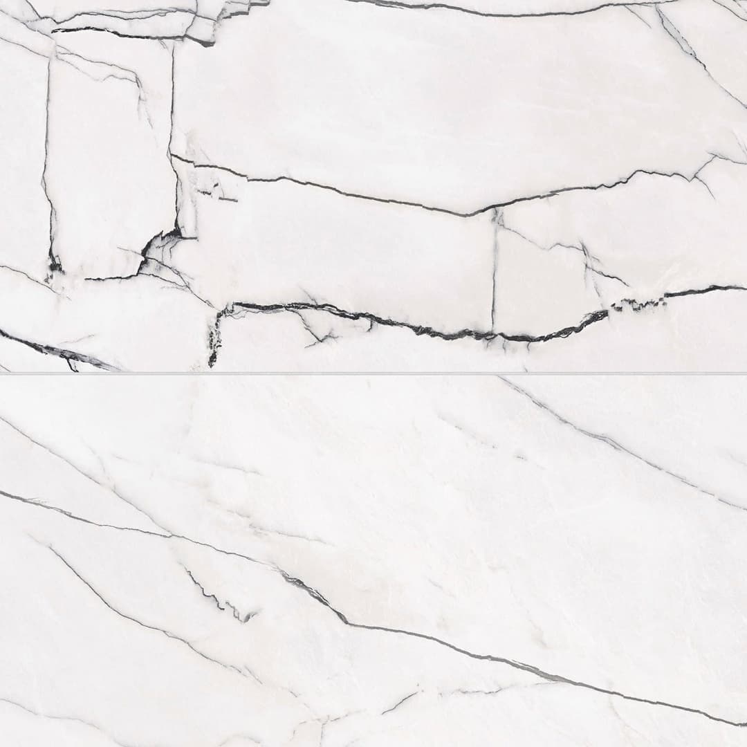 Gemma 24" x 48" Polished Porcelain Field Tile in Bianca - itunqj3ellw06pixcfxu@2x.jpg