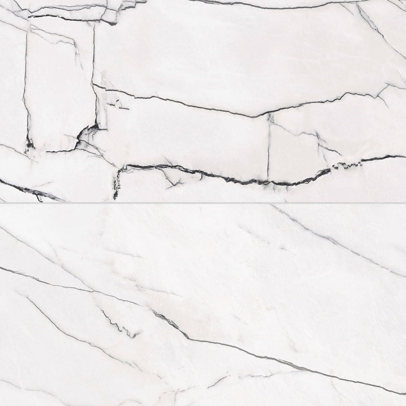 Gemma 24" x 48" Polished Porcelain Field Tile in Bianca