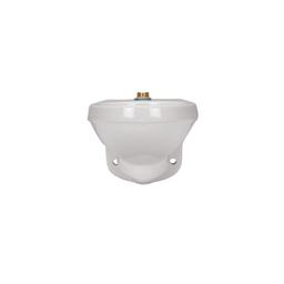 Zurn One® Toilet Bowl, Wall Mount, ADA, Elongated, Flushometer, White - iuito1aocyzp0udfjd8a@2x.jpg