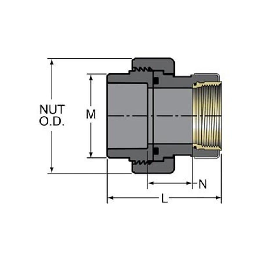 Tank Adapter, 1-1/2 in, Socket x FNPT, SCH 80/XH, PVC - iumnu1fvcnvm5ye4j6ua@2x.jpg