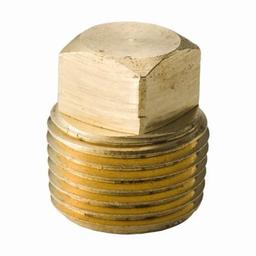 Plug, 1/4 in, MNPT, Lead Free Brass, Rough Brass, Domestic - iwewqtzq3mwlspndhfal@2x.jpg