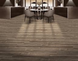 American Elm - iwikugmwaeyfi0gzkucq@2x.jpg