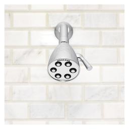 Icon™ Multi Function Shower Head, 3-3/4 in Dia, 1.75 gpm, Polished Chrome - iwmb8sbbfnf90ds5jm05@2x.jpg