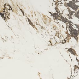 Panoramic Duet Calacatta Aries Square 48X48 Matte - ixselwirepo5agzfmqtj@2x.jpg