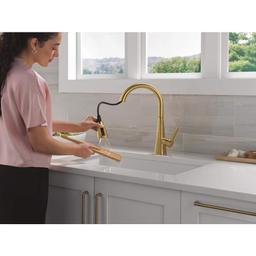 Lenta Single-Handle Pull-Down Kitchen Faucet with ShieldSpray - iyybx5cp4okuz3yzt24p@2x.jpg
