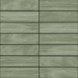 Artcrafted Aloe Rectangle, Handcrafted 3X12 Glossy - izactxpoclsok2lhbign@2x.jpg