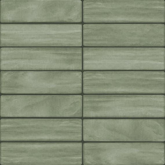 Artcrafted Aloe Rectangle, Handcrafted 3X12 Glossy