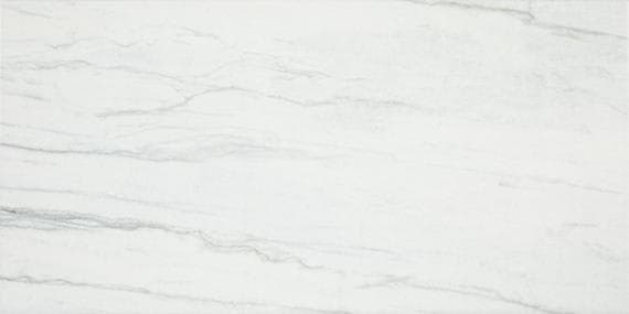 Platinum Oyster Rectangle 12X24 Matte - izztnfrua2uld8uo0v8n@2x.jpg