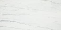 Platinum Oyster Rectangle 12X24 Matte - izztnfrua2uld8uo0v8n@2x.jpg