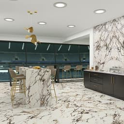 Panoramic Duet Calacatta Aries Square 48X48 Matte - j0136z2aiwdc39de8vtq@2x.jpg