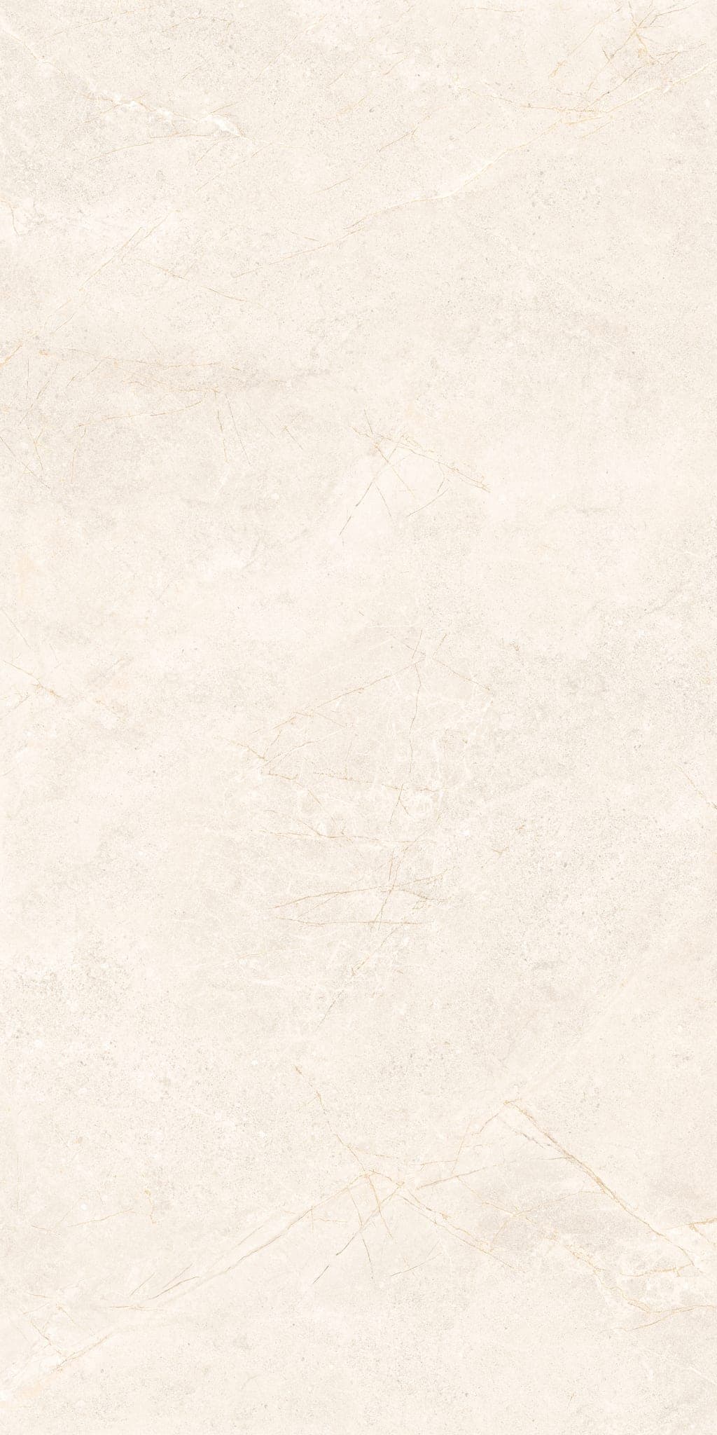 MOONLIGHT IVORY 24X48