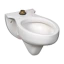 Rapidway Wall Mounted Elongated Bowl With Top Spud - Less Seat and Flushometer - jabnyl2ykuirg32ks2ai@2x.jpg