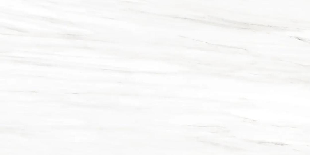LASSA WHITE UP 12X24 - janf8uzkgi56xwxzsuhj@2x.jpg