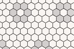 Flower White and Grey - jb5entnft0zoytgprzzq@2x.jpg