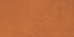 Portfolio Vivid Orange Burst Rectangle 12X24 Matte - jbntlelz3r3ea1watkqn@2x.jpg