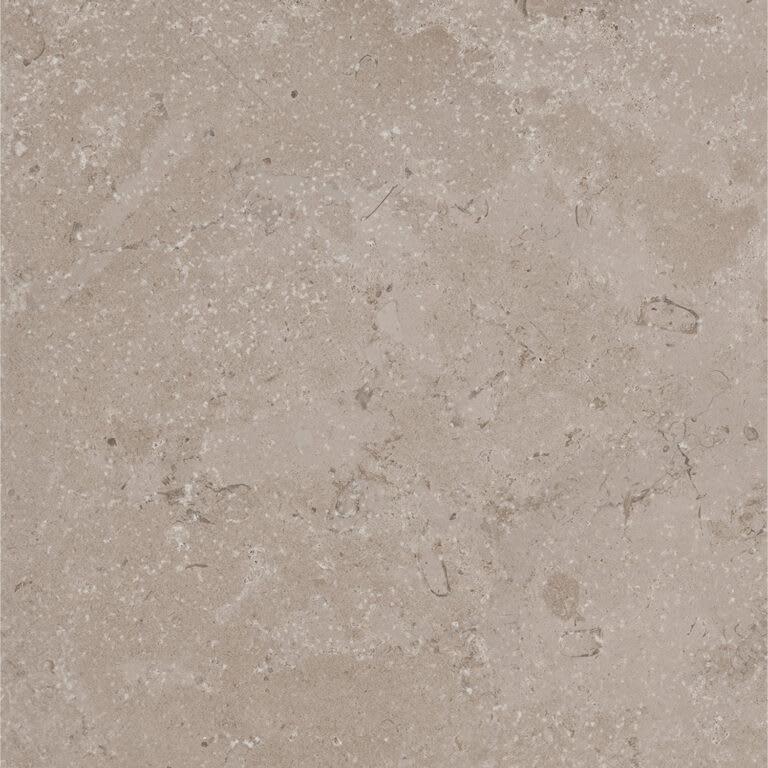 Timeless Taupe
