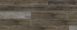 European Ash - jdq5hwo70trjr3w2p7h1@2x.jpg