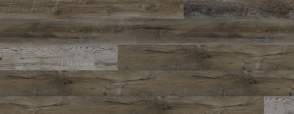European Ash