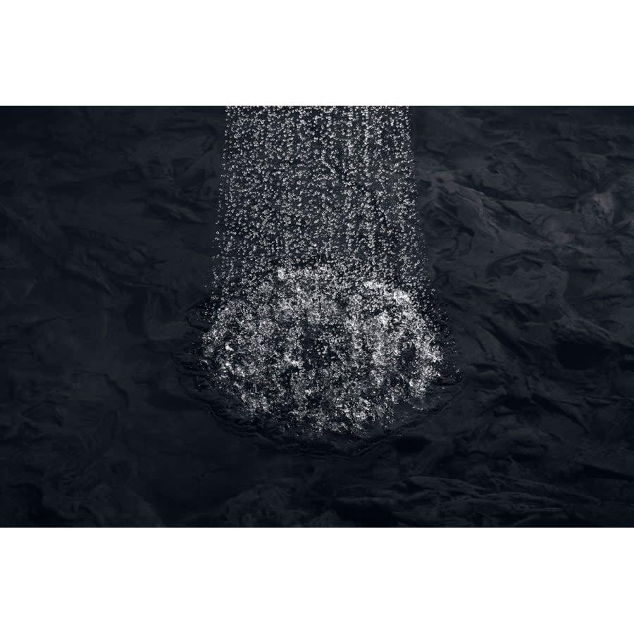 Forte 2.5 GPM Single Function Shower Head with Katalyst Air-induction Technology - jg2rcl8enmboxcc5tk5q@2x.jpg