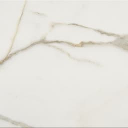 Mythique Marble Calacatta Venecia Rectangle 12X24 Matte - jhyfi1ahcabrt2oa7enm@2x.jpg