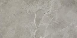 Platinum Dove Rectangle 12X24 Matte - jjx7fwwchnixg9ouwjqi@2x.jpg