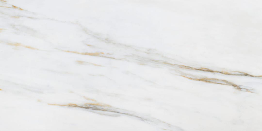LM CALACATA GOLD MC 24x48 R - jlwulhafmsnmhjqglqfx@2x.jpg