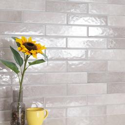 Renzo Sterling Tile - jmnwob7nr5jbvnzy5ckf_x500.jpg