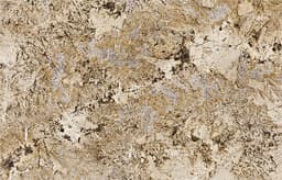 Delicatus Gold - jndbkkkxnl6axk6arwe2@2x.jpg