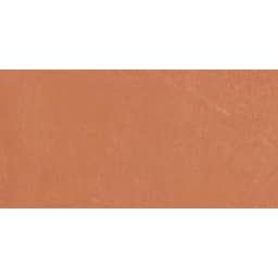 CLAYTONE CORAL R11 12X24 - jntvzp4qxvpsmtua8u3h@2x.jpg