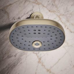 Statement 1.75 GPM Multi Function Shower Head with MasterClean Sprayface and Katalyst Air Induction Technology - josy2te9wymcs8kjipu9@2x.jpg