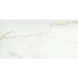 VISCONDE ORO PL 12X24 - jqjzwplj3pw17twikz75@2x.jpg