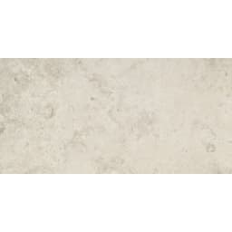SILQUE LIGHT MT 12X24 - jtlgarvor9y5xe5spw2z@2x.jpg