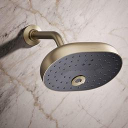 Statement 2.5 GPM Multi Function Shower Head with MasterClean Sprayface and Katalyst Air Induction Technology - jug5nqalgnc7015l7ept@2x.jpg