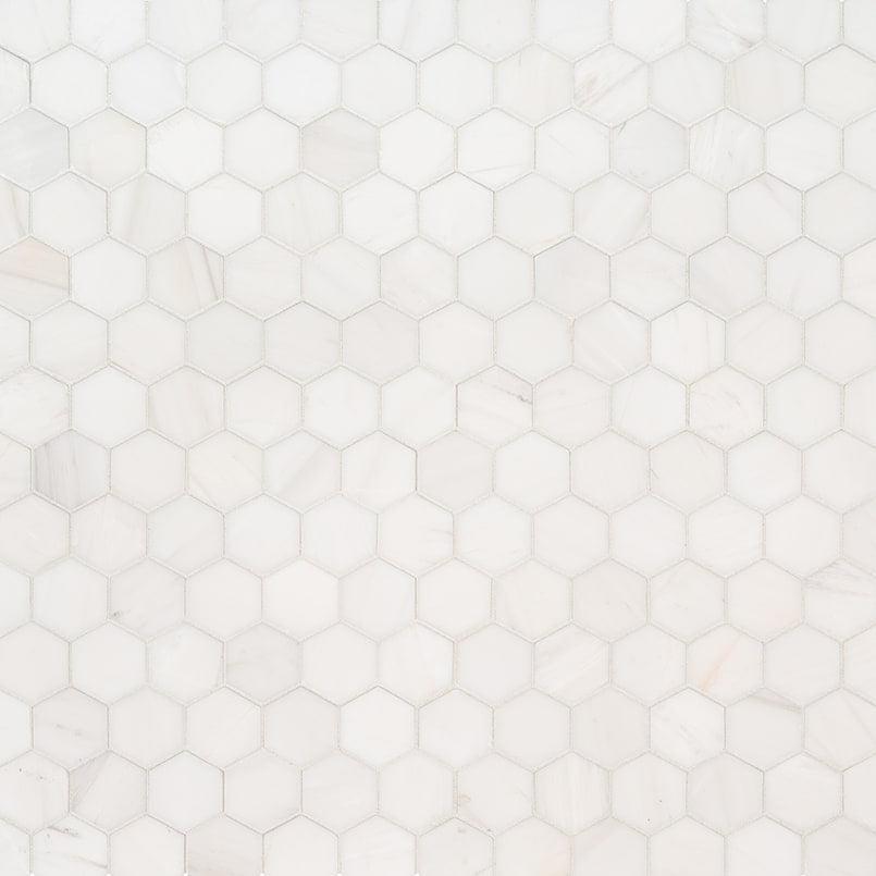 Bianco Dolomite 2” Hexagon Mosaic Tile - jvgkzwepviyg8voqs5n5@2x.jpg