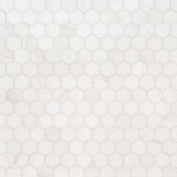 Bianco Dolomite 2” Hexagon Mosaic Tile - jvgkzwepviyg8voqs5n5@2x.jpg