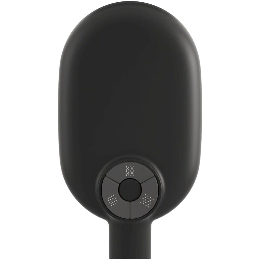 Statement 2.5 GPM Multi Function Hand Shower with MasterClean Sprayface - jvlfy4ltgrkx8uzdlykz@2x.jpg