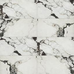 Savoir Noir Rectangle 12X24 Polished - jx8ndryo6y8cjbsm21ij@2x.jpg