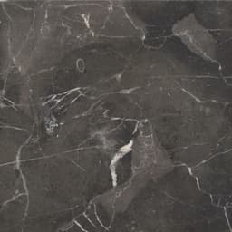 ST. CROIX BROWN PL 9X9 - jxz1wve4en36pojwlja1@2x.jpg