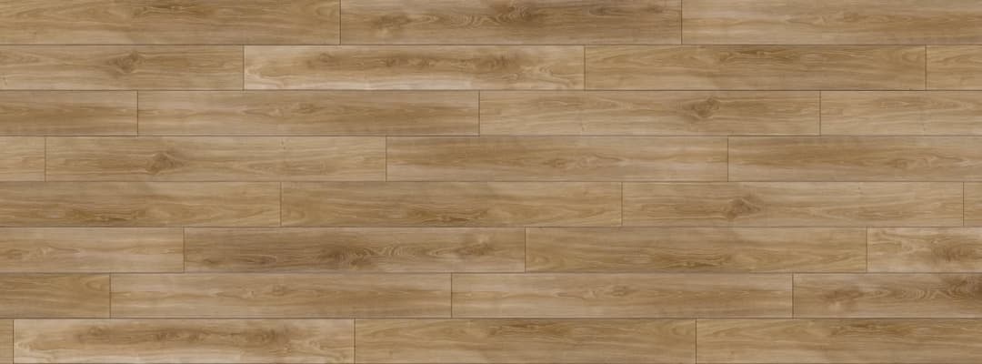 Silver Elm - jydrz0bpbtsjuj9gue6a@2x.jpg