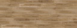 Silver Elm - jydrz0bpbtsjuj9gue6a@2x.jpg