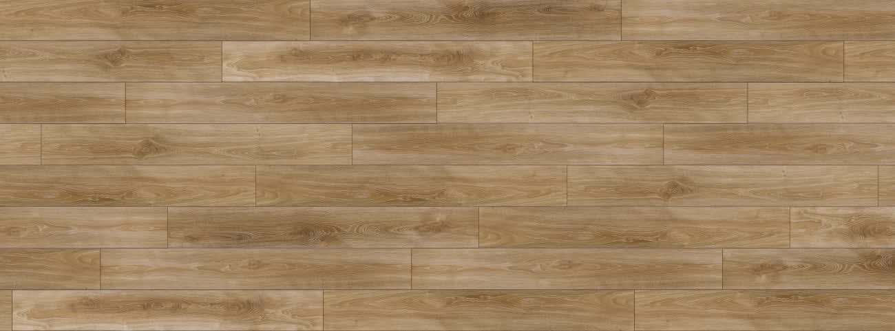 Silver Elm