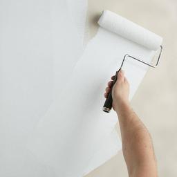 ALL PURPOSE 5 Gal. White Interior/Exterior Multi-Surface Primer, Sealer, and Stain Blocker - jyrnbjwcgo7igdh2lv6g@2x.jpg