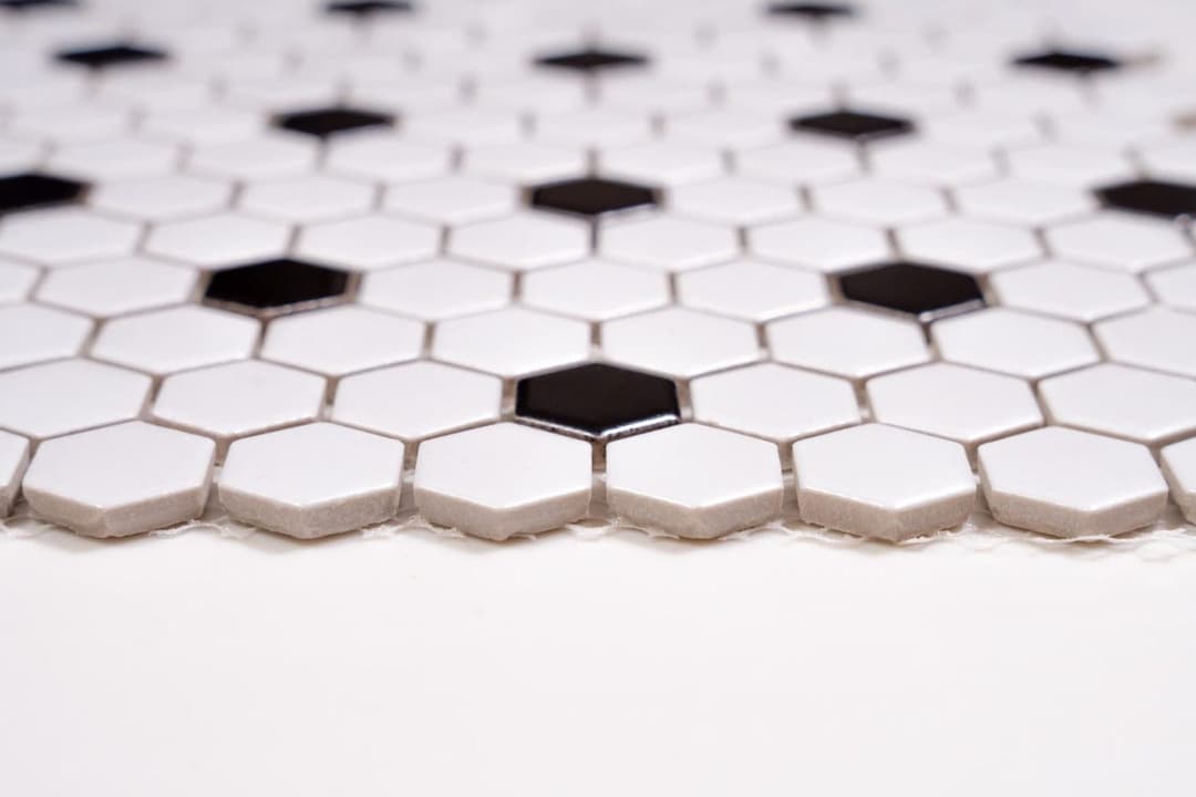 1x1 White and Black Hexagon - jzsigcvwvgce4dlhukax@2x.jpg
