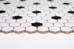 1x1 White and Black Hexagon - jzsigcvwvgce4dlhukax@2x.jpg